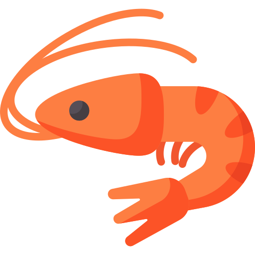 Camarones Piscifactoria